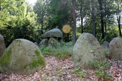 Frejlev Skov Runddysse 4