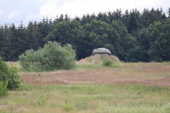 Risby Langdysse 2
