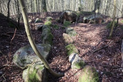 Storskov Splittorfs Høj Jættestue