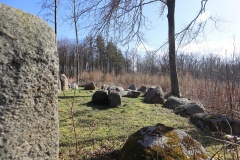 Vintersbølle Skov Langdysse