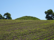 Tulsbjerge