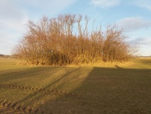 Aabygaard Rundhøj