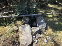 Næsbyholm Storskov Langdysse 1