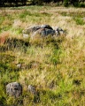 Harreby Langdysse 2 - PID:112855