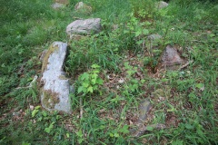Ringelmose Skov Langdysse 1