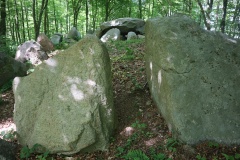 Alleskoven Langdysse 1