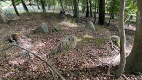 Tårup Lund Langdysse