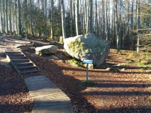 Rokkestenen i Paradisbakkerne