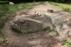 Ringelmose Skov Langdysse 3