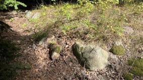 Skovlund Langdysse