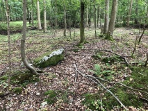 Broby Vesterskov Runddysse 1