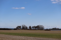 Kæmpegården Langdysse