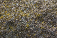 Frihedslund Runddysse