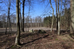 Storskov Runddysse 3