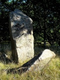 Knægten Bautasten - PID:157396 Knægten Bautasten - PID:157396