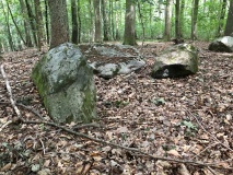 Bjergstedskoven Runddysse 1
