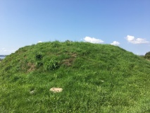 Mastehøi (Roskilde)