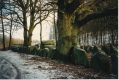 Skamstrup Langdysse