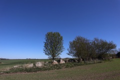 Bildsø Lammedysse