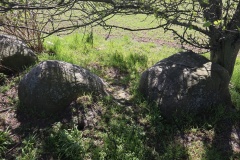 Bildsø Lammedysse