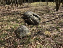 Næsbyholm Storskov Megalitgrav 1