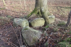 Bønsvig Hovedskov Jættestue