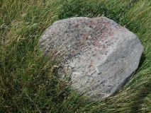 Busene skåltegn