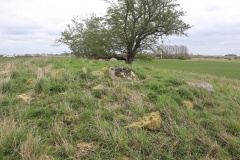 Knudsrødgaard Langdysse