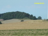 Click for full size image of Voldbjerggård Jættestue (PID:82994) Voldbjerggård Jættestue