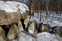 Rykkerup Skov Jættestue