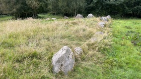 Lindeskov Hestehave Langdysse 2
