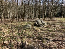 Næsbyholm Storskov Megalitgrav 1