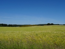 Vester Præstegård Langdysse