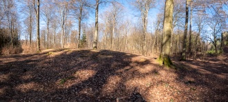 Stenholtsvang Langdysse