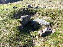 Tisvilde Hegn Langdysse 1