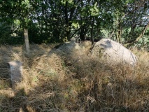 Venslev Marker Jættestue 1