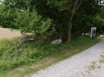 Vejleby Marker Runddysse