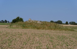 Ferslev Marker