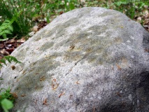 Sandbjerg Østerskov Hellekiste