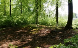 Bistrup Hegn Langdysse 1