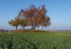 Munkhøi