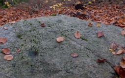 Hornbæk Plantage skåltegn