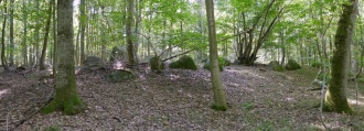 Kløvested Skov Langdysse 1