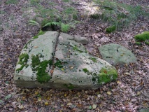 Lille Hareskov Langdysse 2