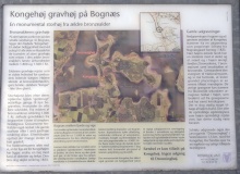 Bognæs Kongehøj