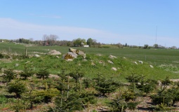 Ågerup Langdysse (Hovedstaden)