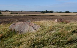 Hødyssen Langdysse