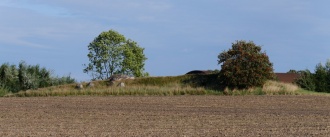 Ågerup Lammedyssen