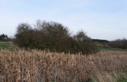 Torkildstrup Langdysse 2