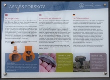 Asnæs Forskov Langdysse